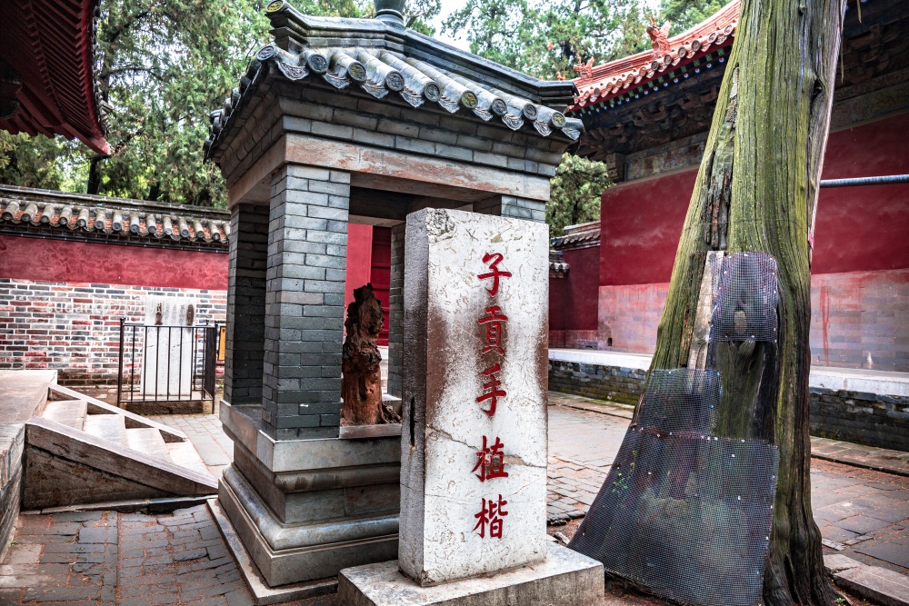 世界很大,敢不敢去墓地旅游?10万余座坟冢列入世界文化遗产_孔子