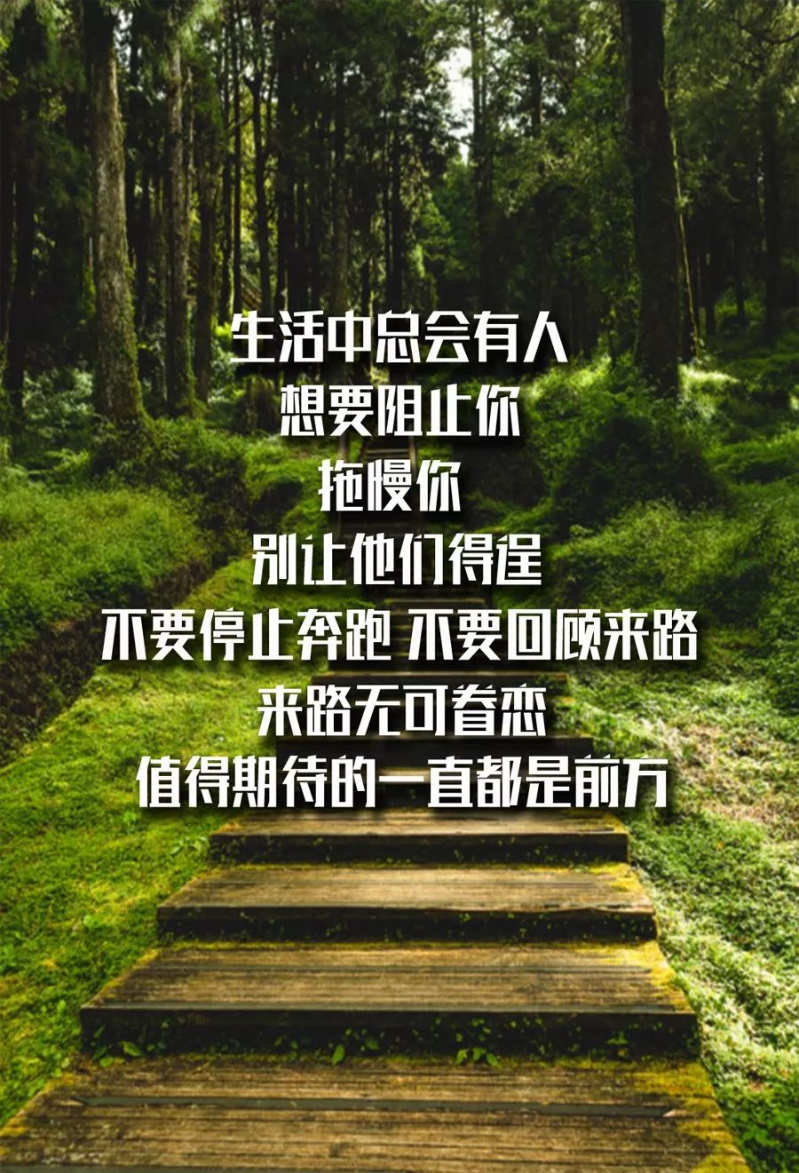 每日一句正能量人生感悟