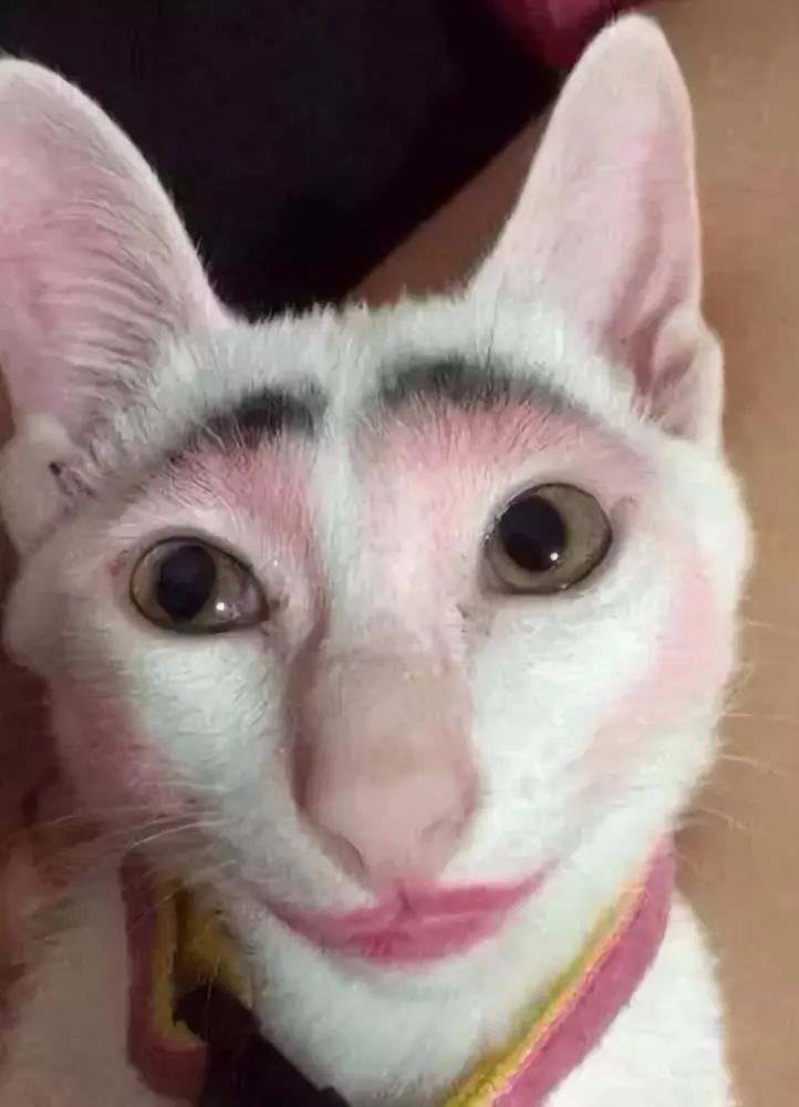 你眼中的自己跟你妈眼中的你第一张图我就笑哭了