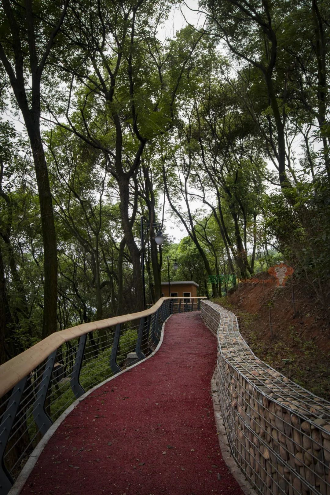 三明开放一个新山地公园有人去过后这样说