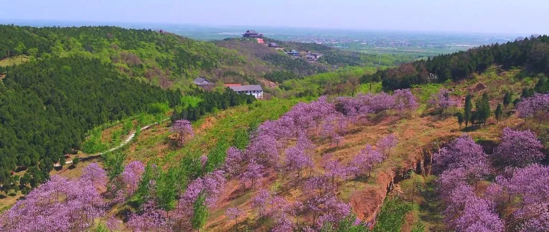 阿里木江艾山图片