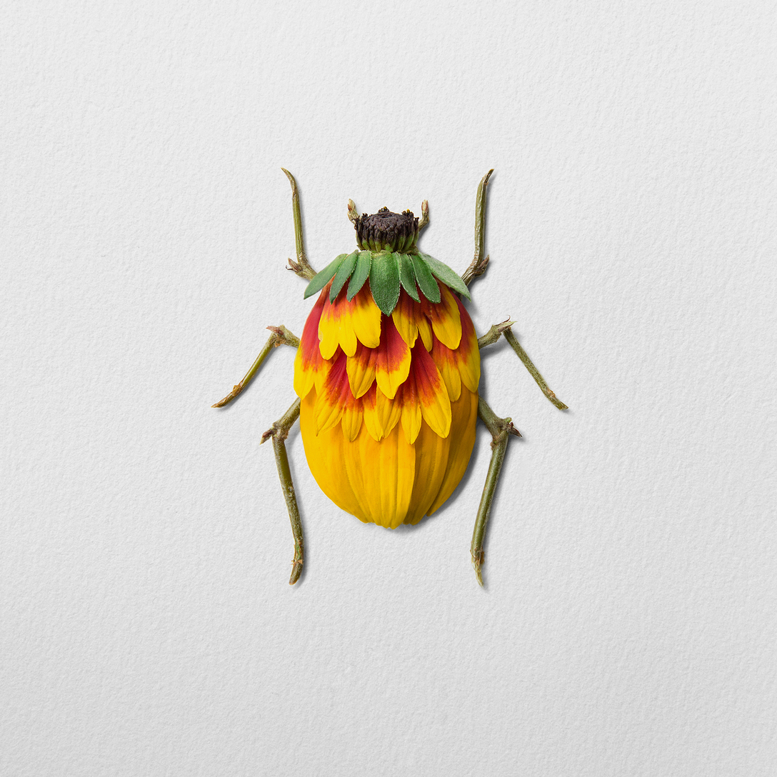 创意设计创意昆虫爬爬