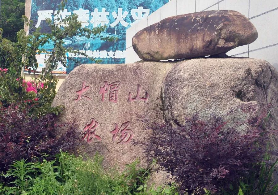 翔安大帽山丨勃发生机,气韵如虹_大帽山农场