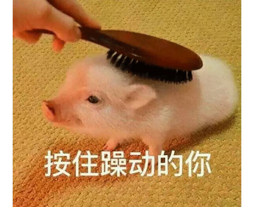 小伙伴们都在上班了吧! 躁动的心是不是还没归位呐