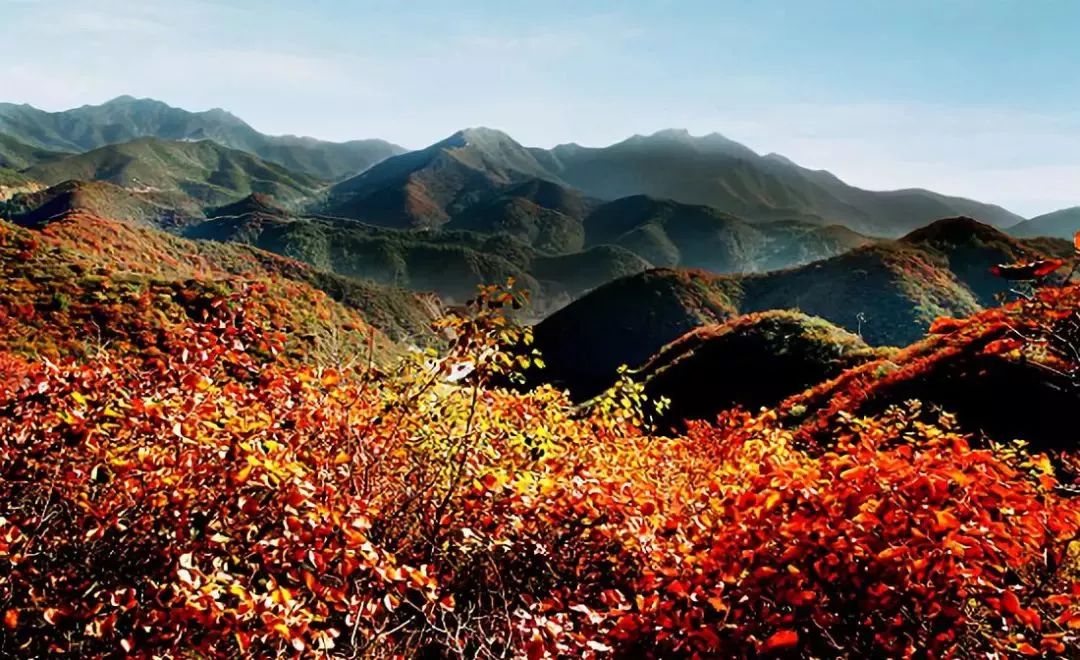 省里要为58个贫困县提供技改专项资金