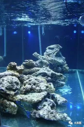 我这么努力,也是为了有这样牛逼闪闪的海缸!