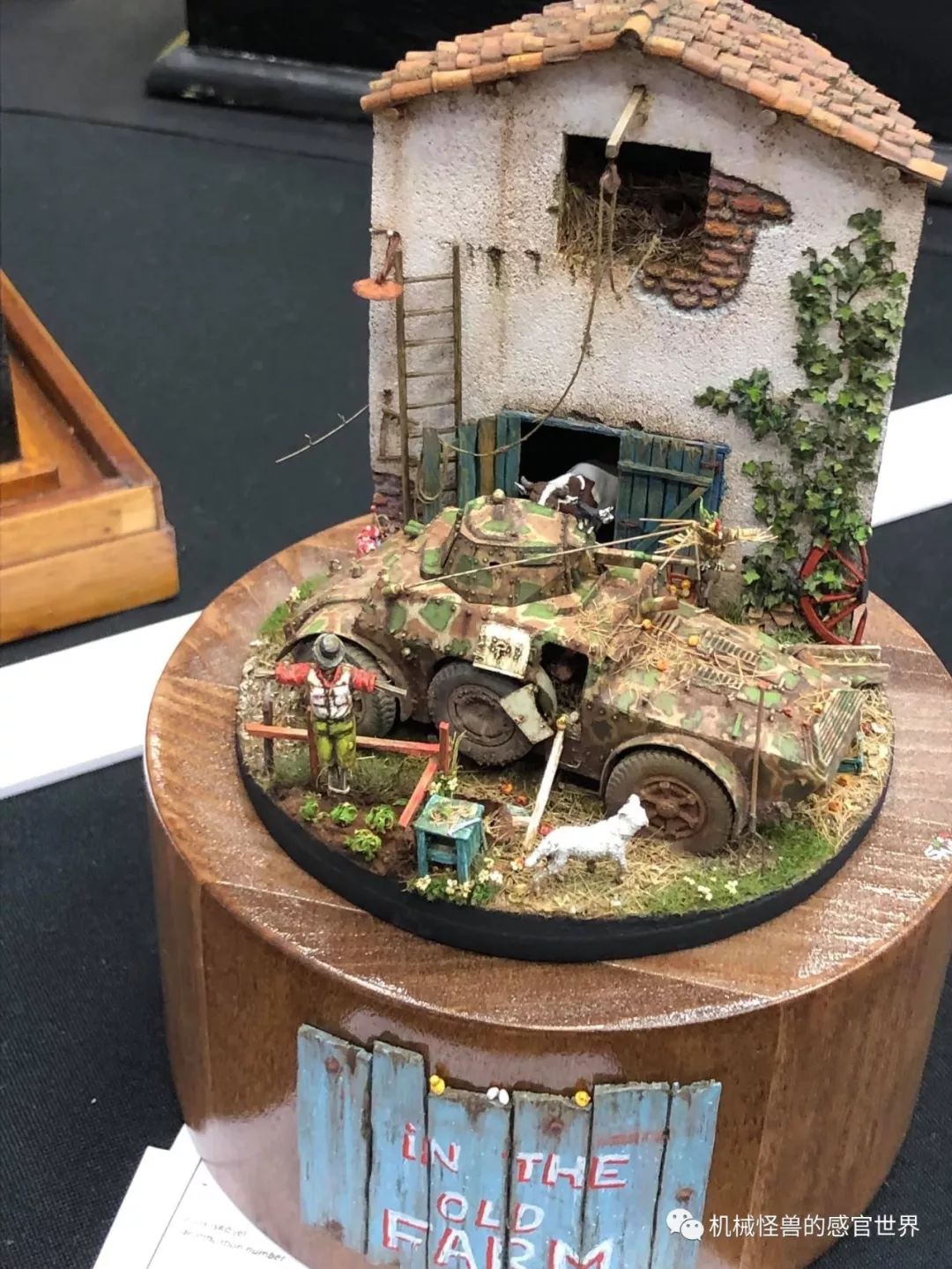 靜態模型世界盃匈牙利mosonmodelshow2019