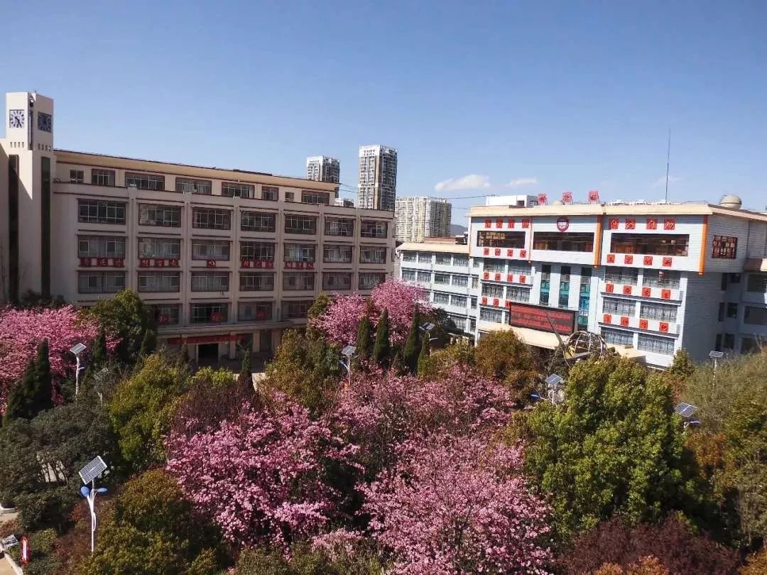 我的母校(69)| 宣威市第一中学——2018级本科生张延