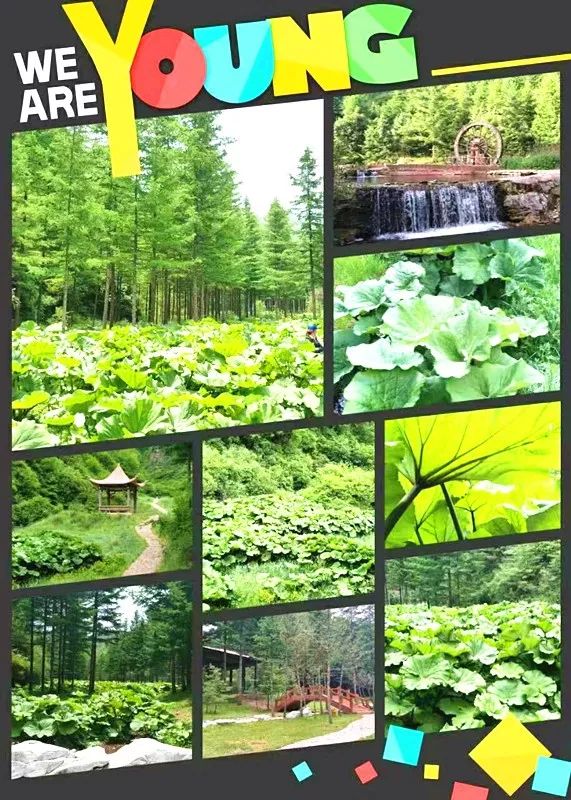 五月优惠大放送,野荷谷景区门票半价