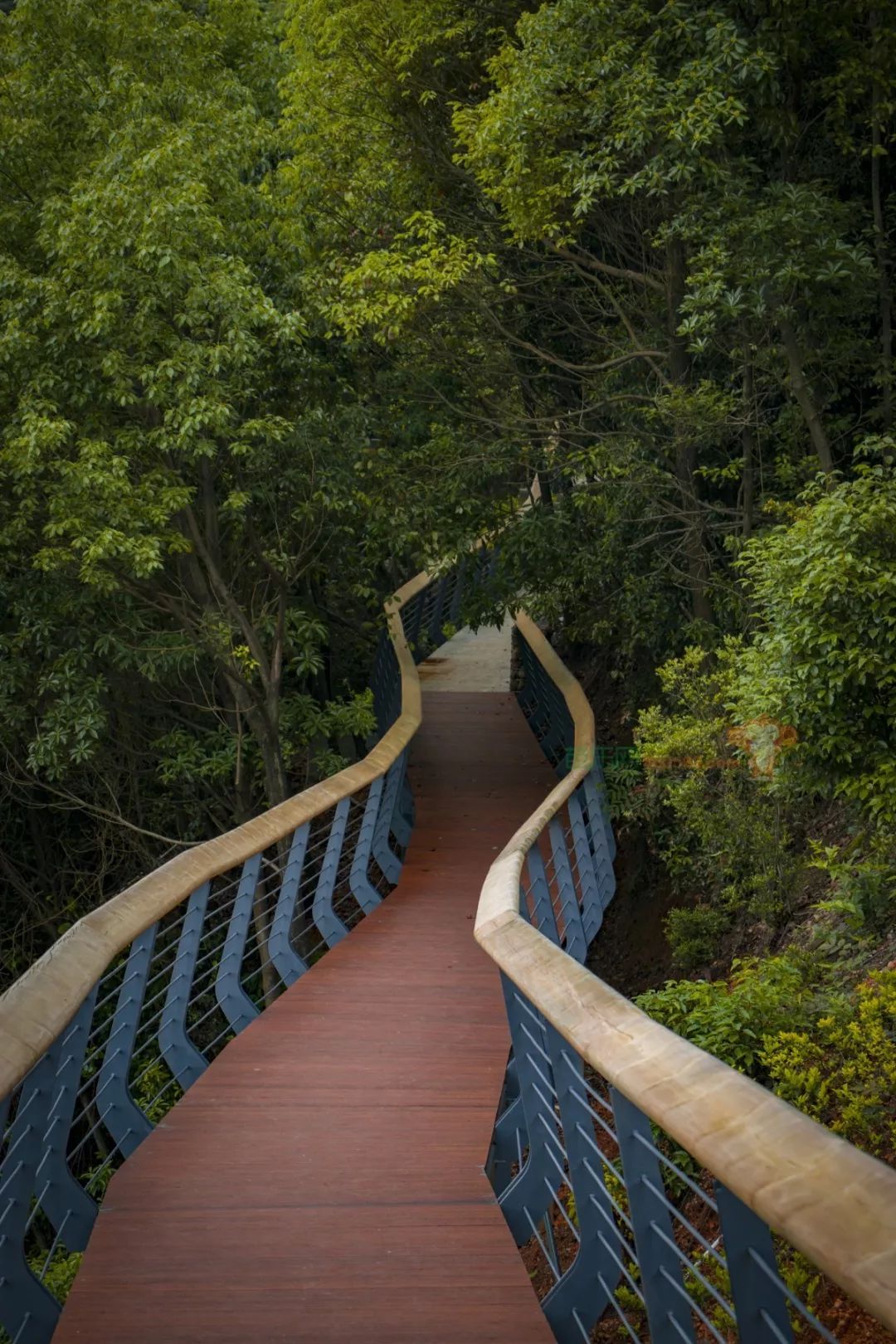三明开放一个新山地公园有人去过后这样说