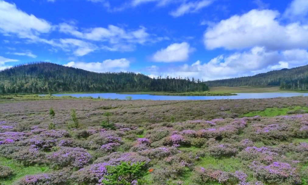 碧沽天池最佳旅游时间碧沽天池旅游攻略
