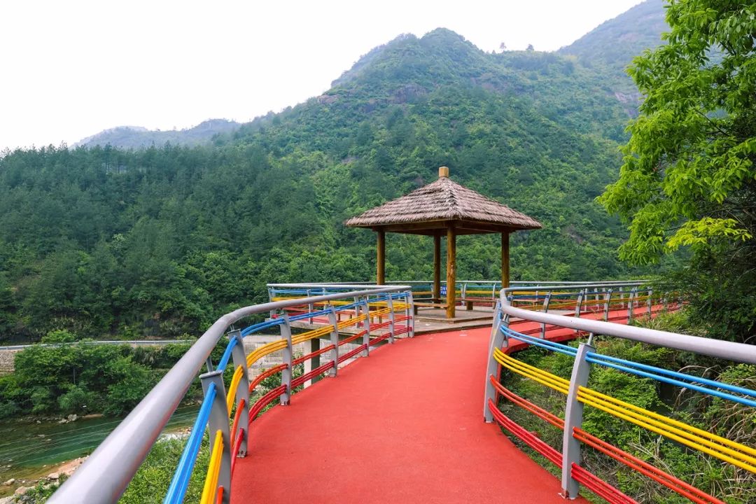 三清山神仙谷魅力有多大一起看看江西四套江西旅游报道的报道