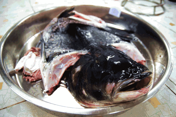 20元斤自养吊水大头鱼清远走地鸡28元只你还不快去试试