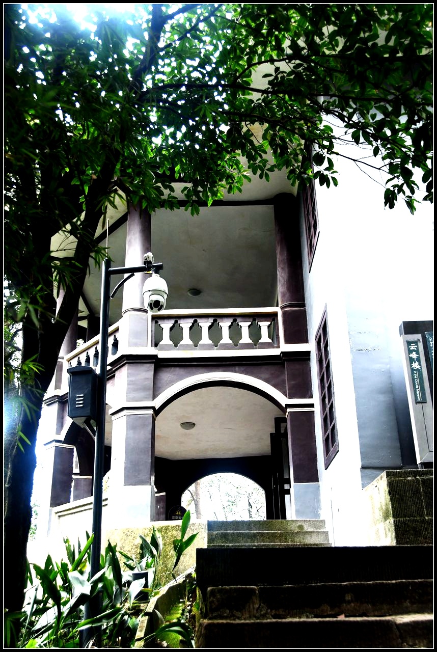 从云峰楼一楼的厅台处看山上的树木云峰楼建于二十世纪二十年代,抗战