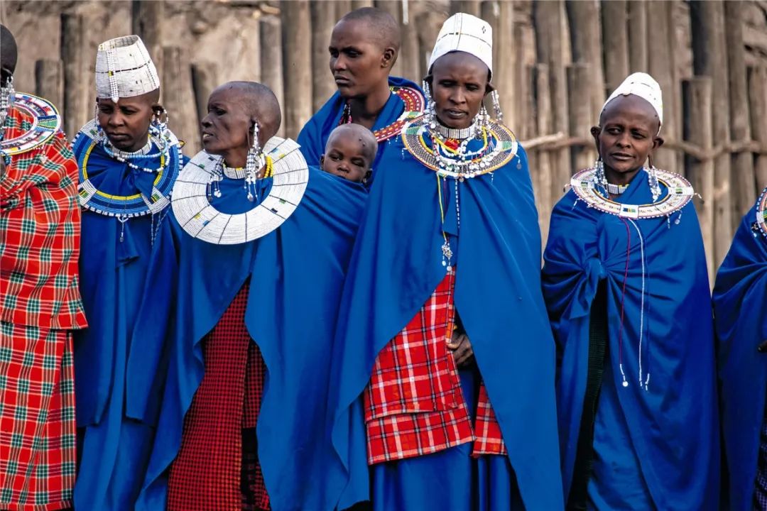你所不知道的非洲战斗民族打得跑狮子喝得下牛血