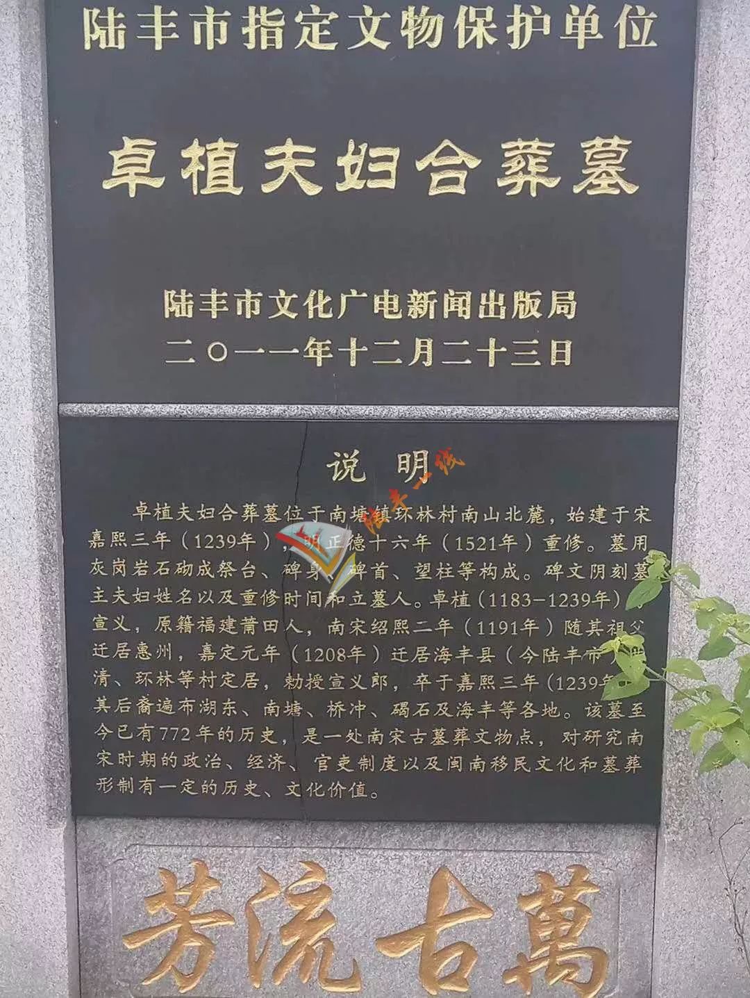 大闹热今日陆丰卓氏南山祭祖