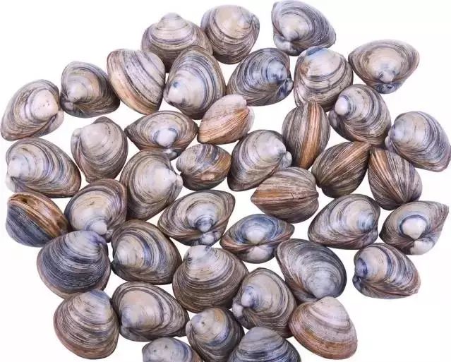 2019年最新曹妃甸潮汐表来啦,爱挖蛤,钓鱼的必须收藏!