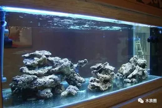 我这么努力,也是为了有这样牛逼闪闪的海缸!