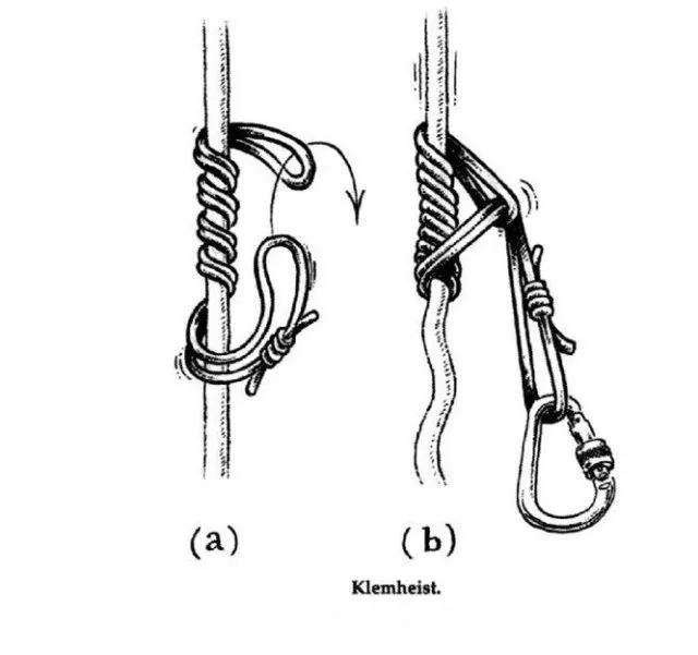 营地专业攀树体验519