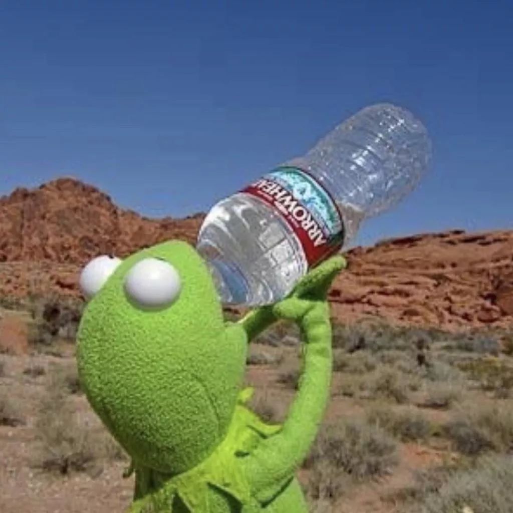 今天朋友圈的小青蛙真的沙雕又可爱