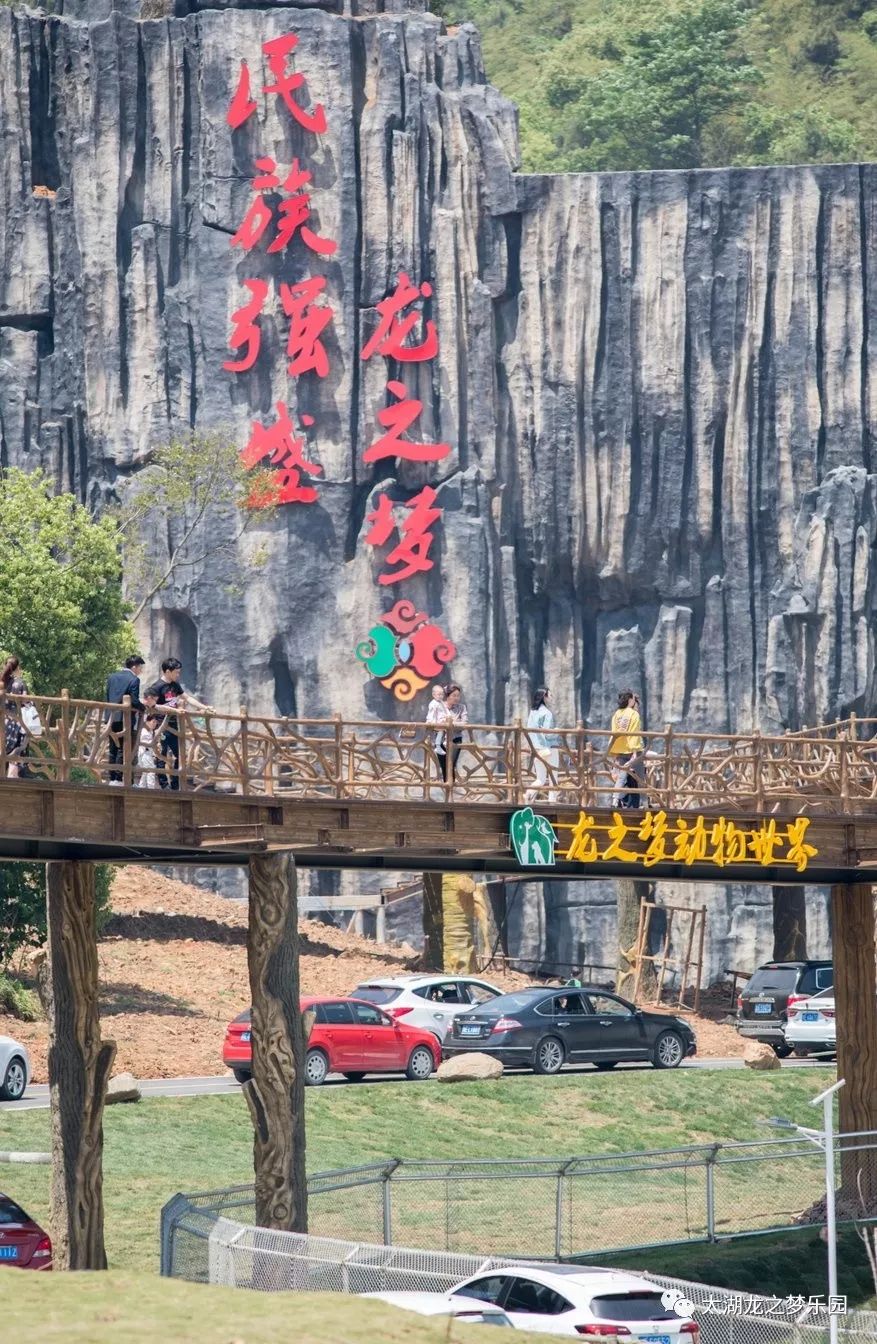 美麗如畫的野生動物世界持續提升,打磨,儘快將人行區與車行區全部建設