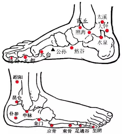 拔罐脚底位置示意图图片