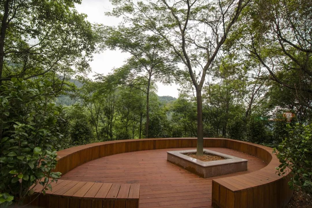 三明开放一个新山地公园有人去过后这样说