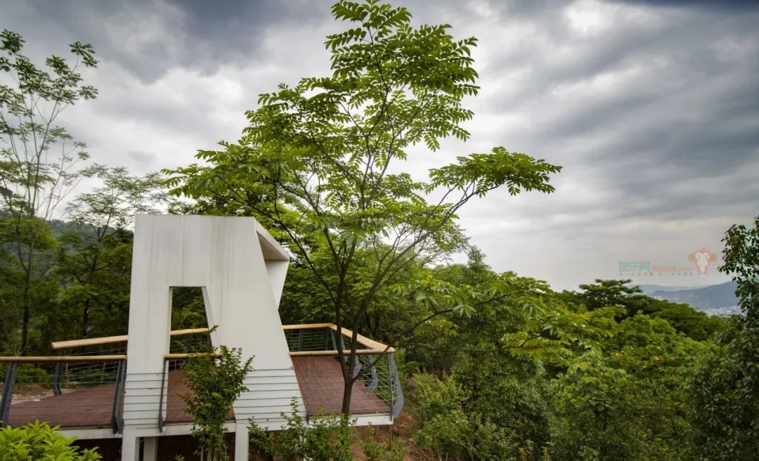 三明开放一个新山地公园有人去过后这样说