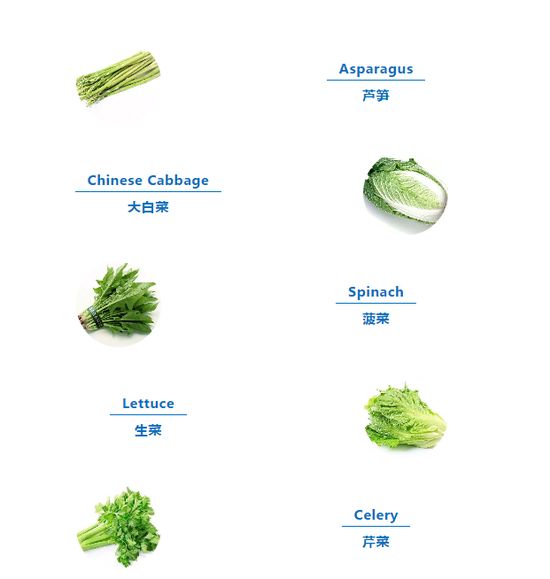 菠菜,生菜,白菜. 这些大家平常一直吃的蔬菜 你们知道英文怎么说吗?