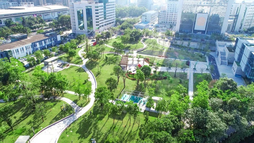 在深圳龙岗智慧公园