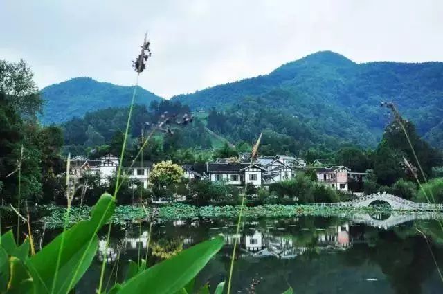 遵義湄潭縣·龍鳳村