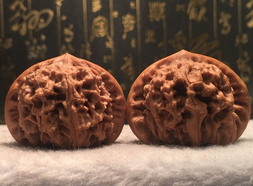 肚子比较大,纯野生大秤砣狮子头,这筋粗,长得比较嘎咕,谁都比不了,姜