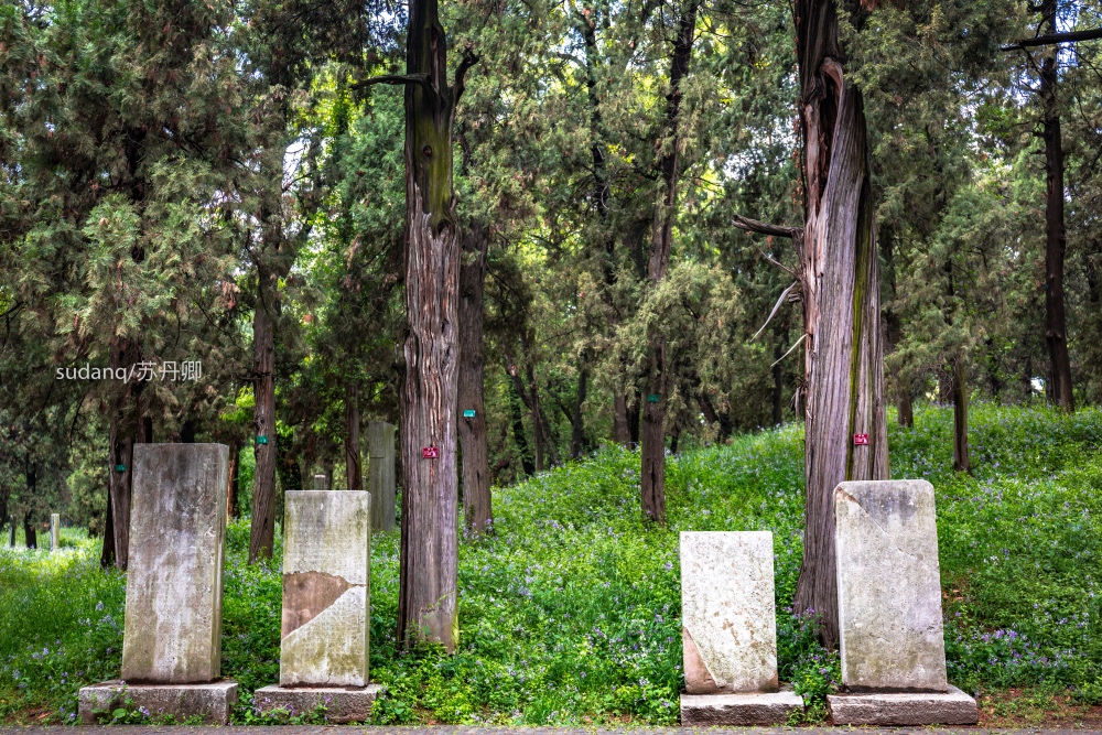 原创世界很大敢不敢去墓地旅游10万余座坟冢列入世界文化遗产