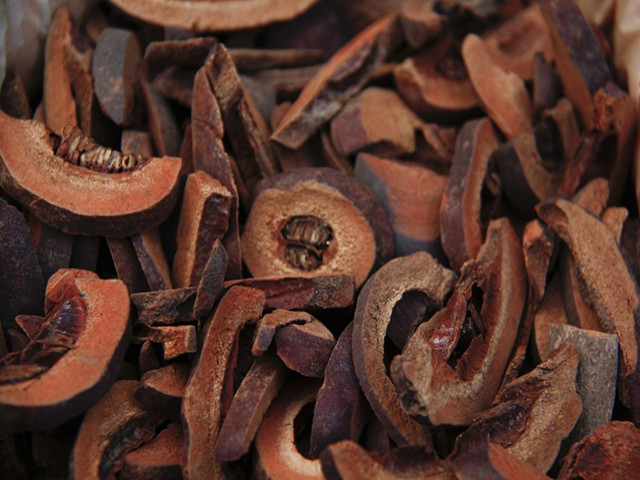 藏须木树皮又称藏须木,产地与西藏自治区日喀则地区深山里, 藏须木