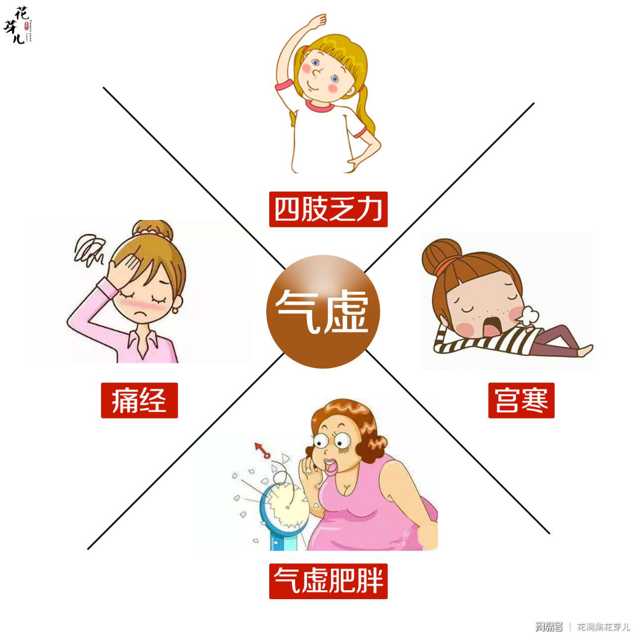 每天一包花芽儿周期茶补气养血