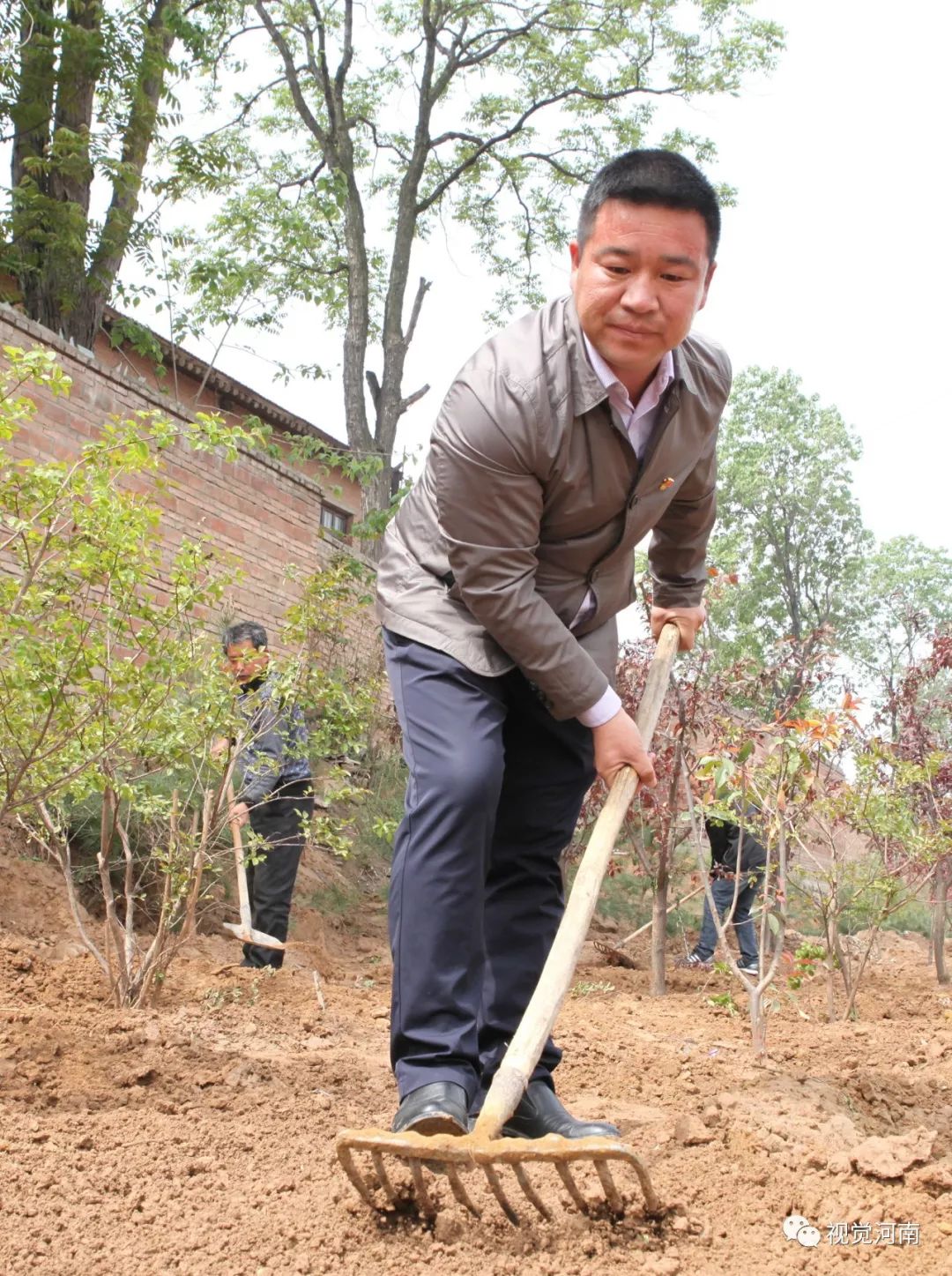 成为灵宝市首批大学生村官,被安排到程村村任职,至今已11年