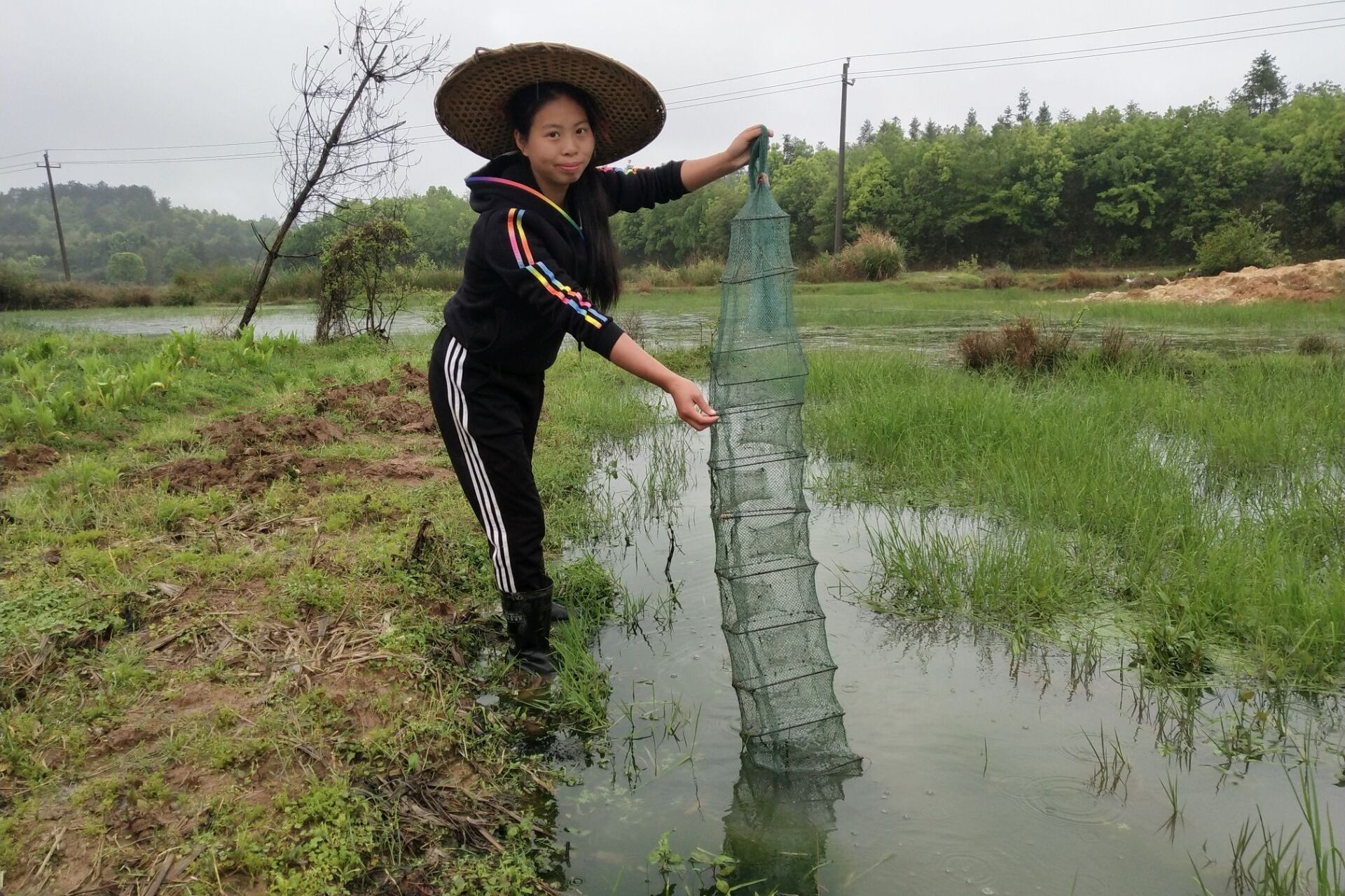 农村小妹去田间收地笼网到了泥鳅黄鳝斗鱼猜猜还有什么