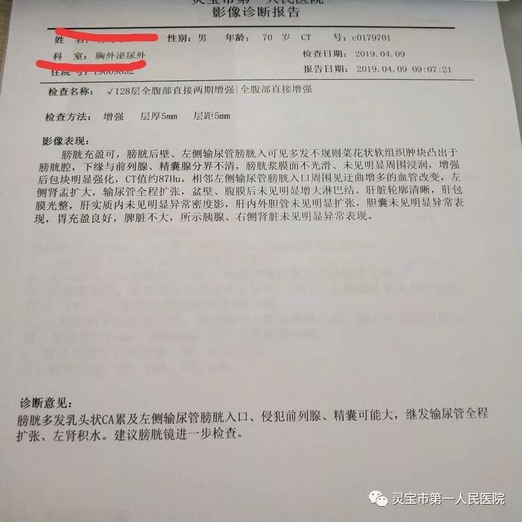 报告康复出院精准护理我院是郑州第一附属医院 河南省膀胱癌联盟单位