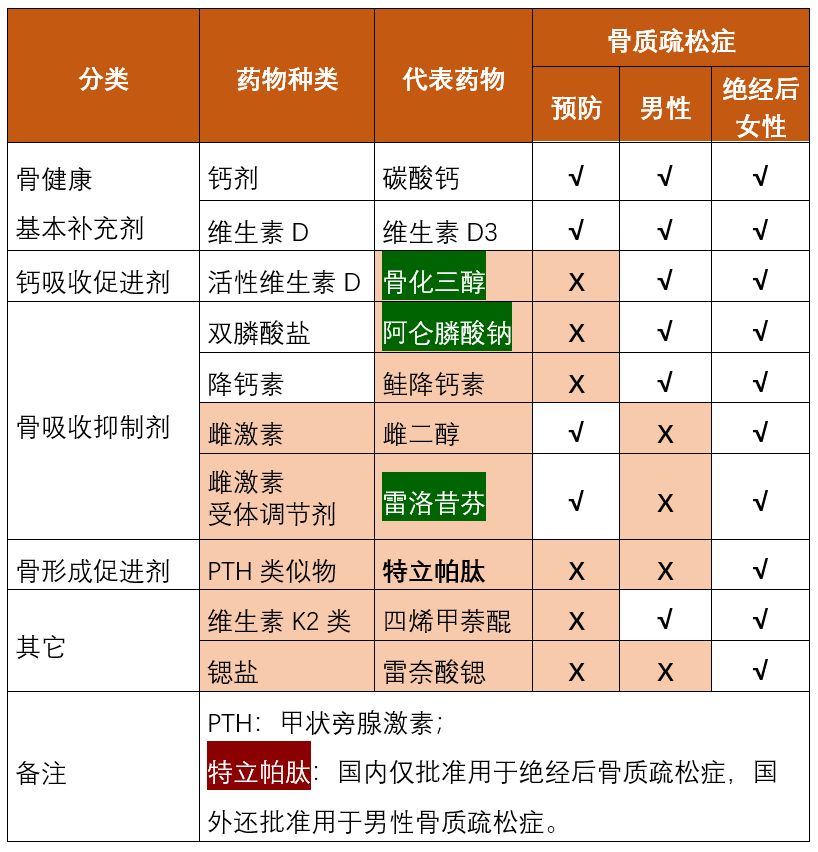 一文掌握抗骨质疏松药物之间的区别干货