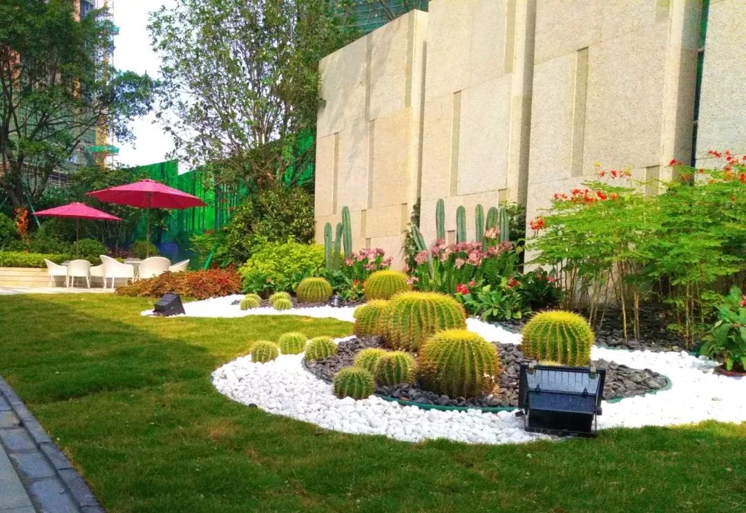 打卡圣地彩虹泡泡跑这个夏天不得不去的网红圣地