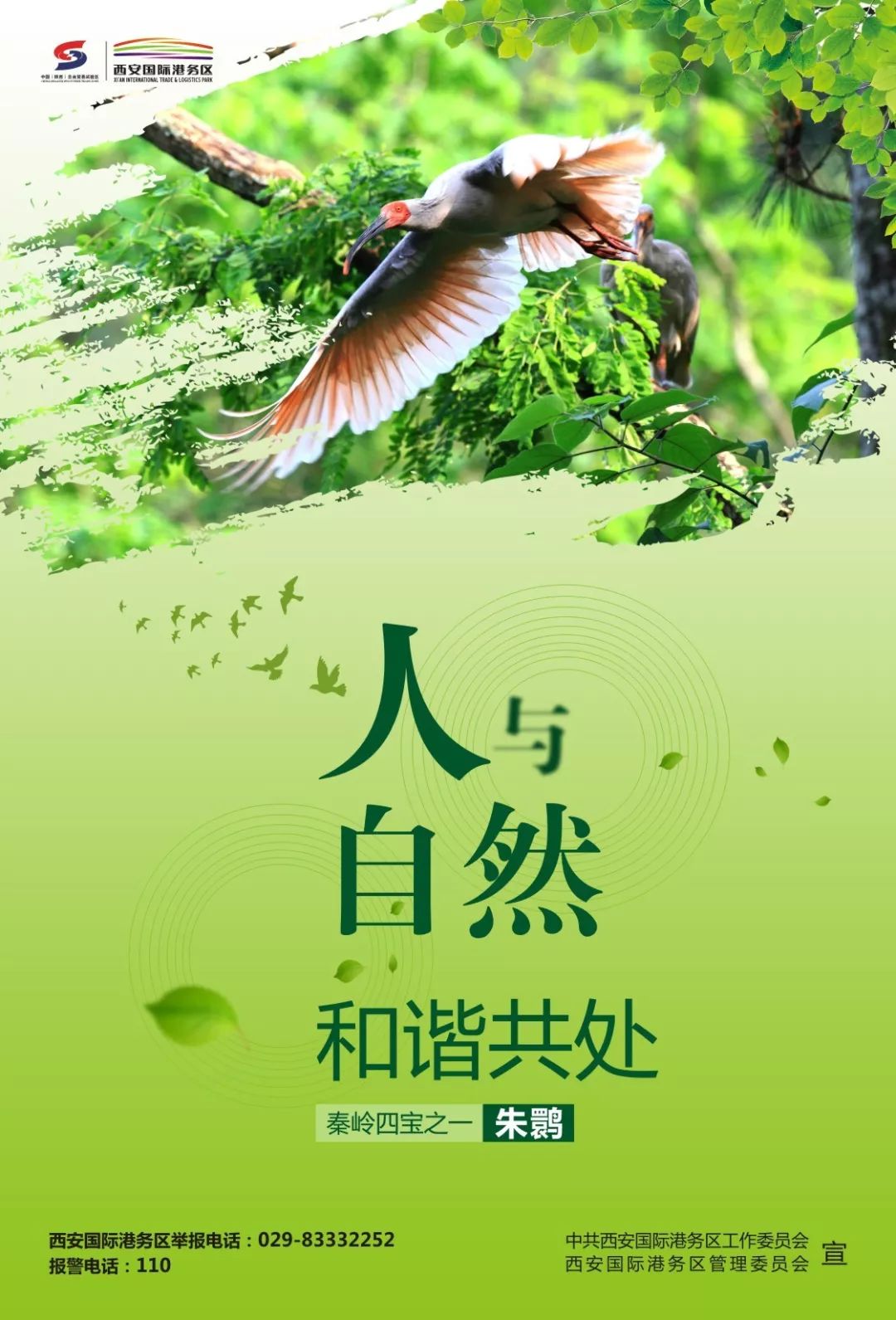 刚刚国际港务区野生动植物保护宣传海报正式发布