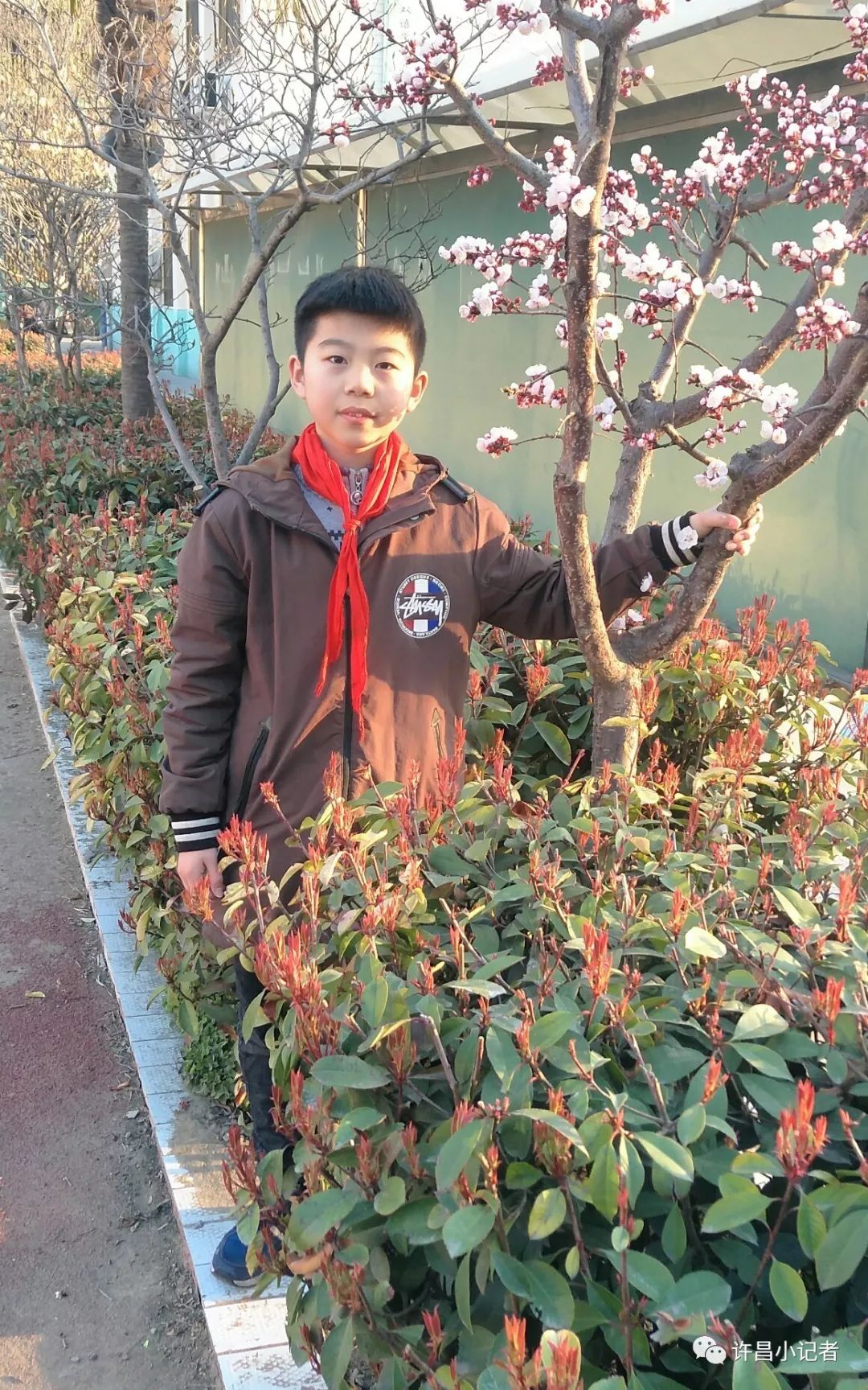 许昌双语实验小学五(1)班小记者刘帅彤——破茧成蝶 在磨砺中蜕变成长