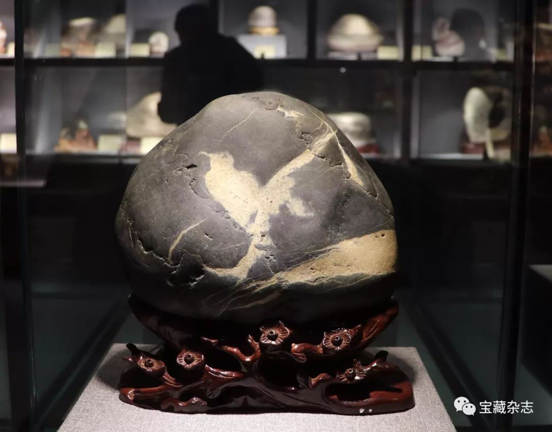 黄河石盛事|临洮首届赏石文化节盛大开幕