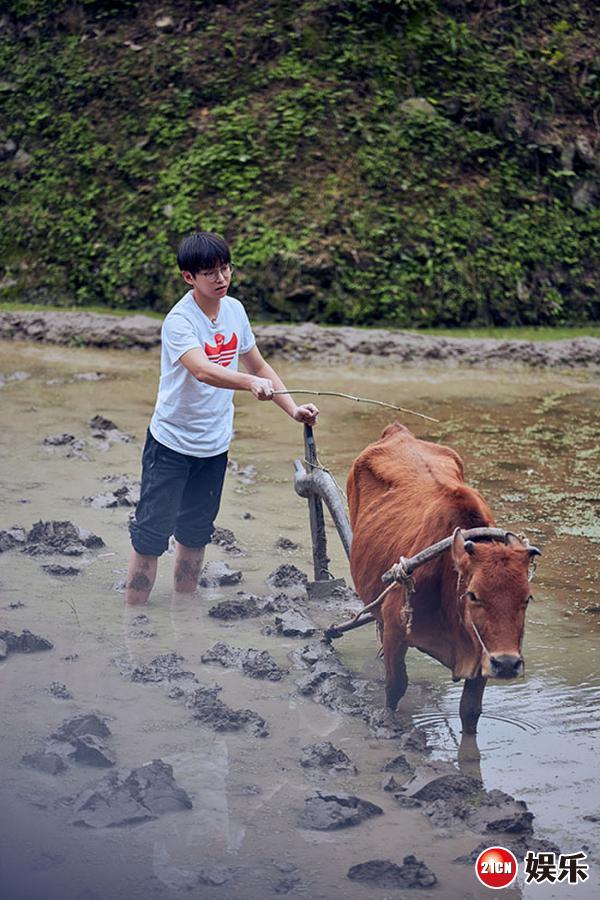 彭昱畅向往的生活怒立减肥誓言新式赶牛花样多