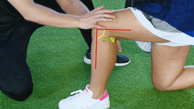 臀部和膝盖呈直线注意前腿的大腿和小腿要呈90度后腿膝盖轻轻点地前后