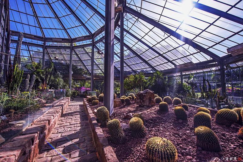 原创走去武汉植物园看千奇百怪兰花大聚会