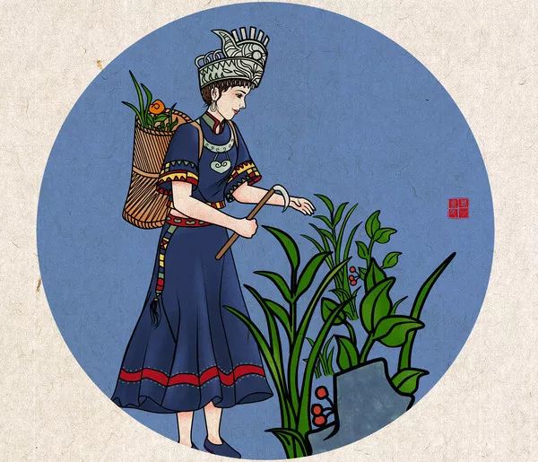 第十四届采药节走进中草药感受中医药文化韵味
