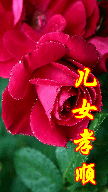 一家人整整齐齐,比啥都重要!_祝福