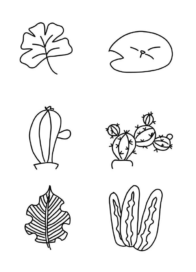 大叶植物简笔画图片