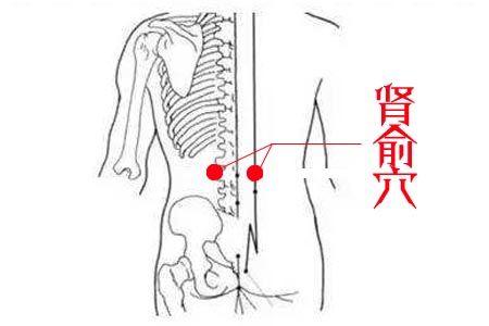 女性艾灸补肾的位置图图片
